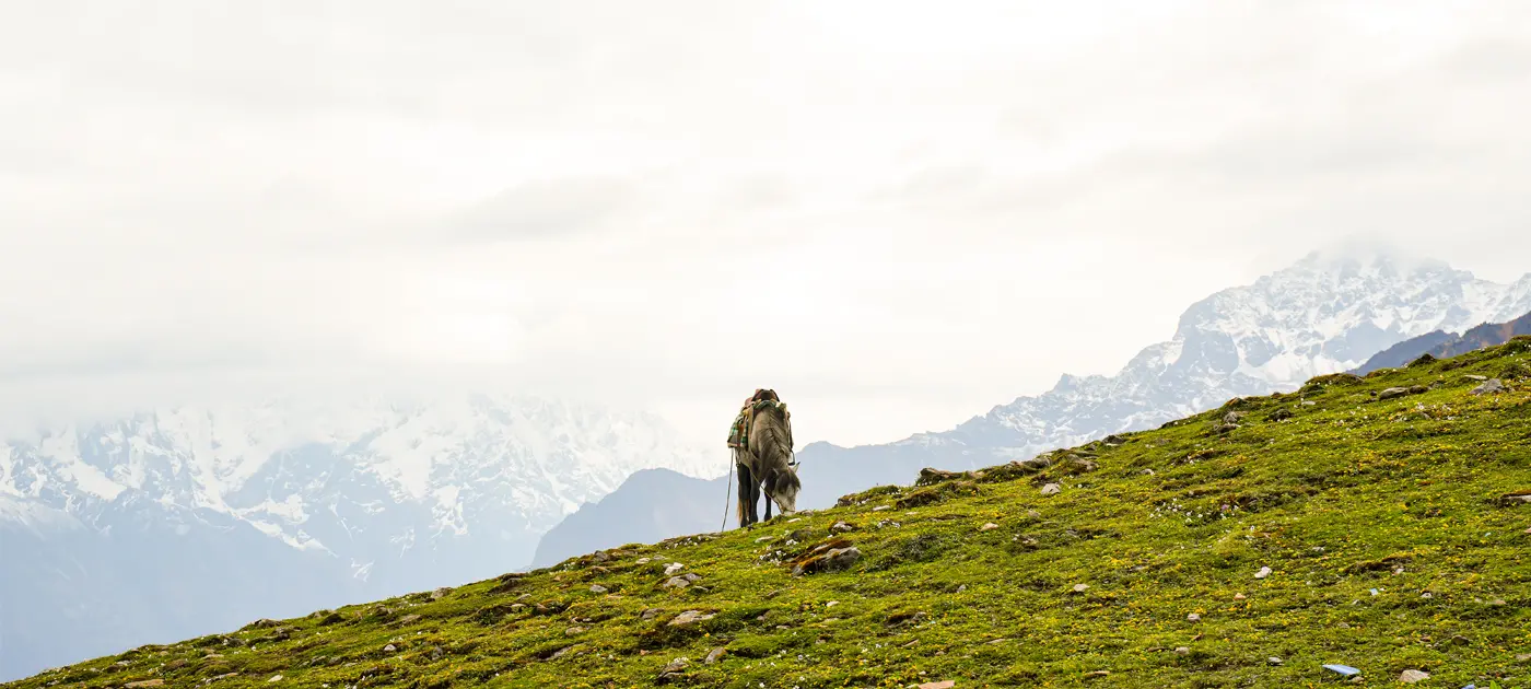Langtang Region Treks