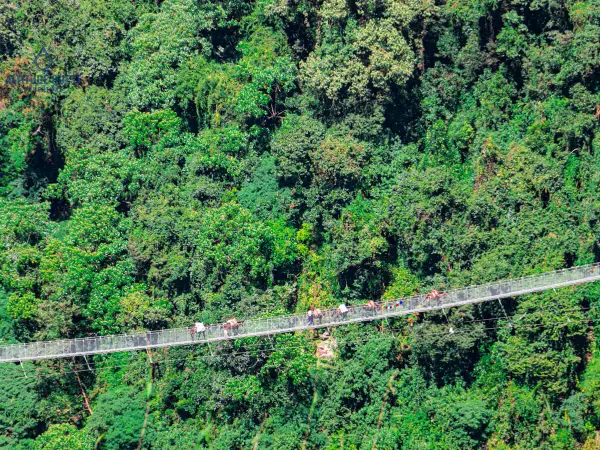Annapurna Base Camp Trek Mule