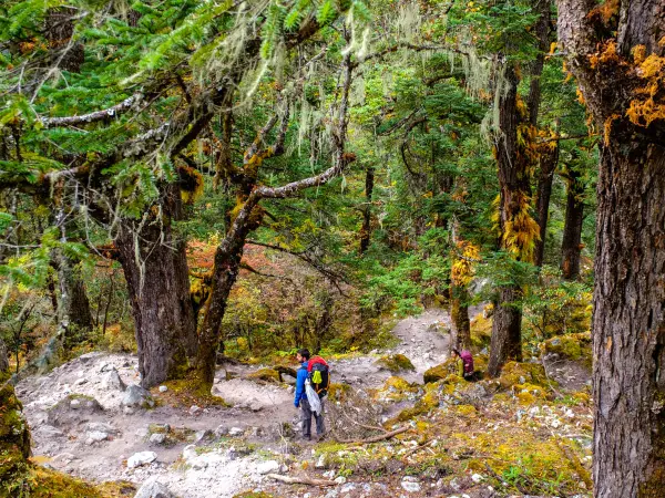 Manaslu Circuit Trek Guest