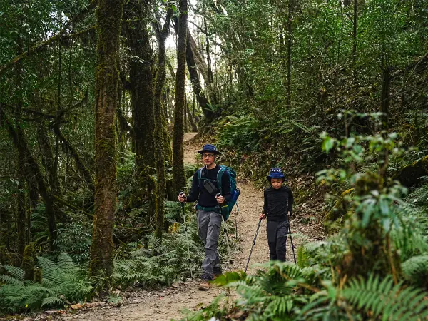 Mardi Himal Jungle Way