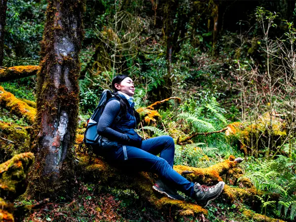 Mardi Himal Trekking