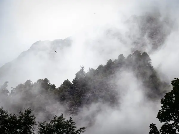 Misty Nar Phu Trekking