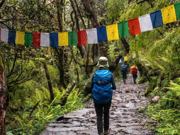Praying Flag Himalaya