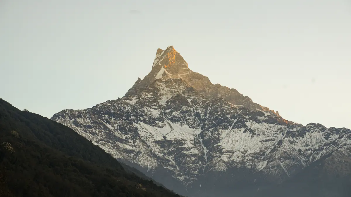 mardi himal trek fishtail