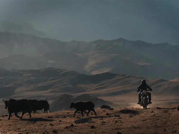 Upper Mustang Trek - 17 Days